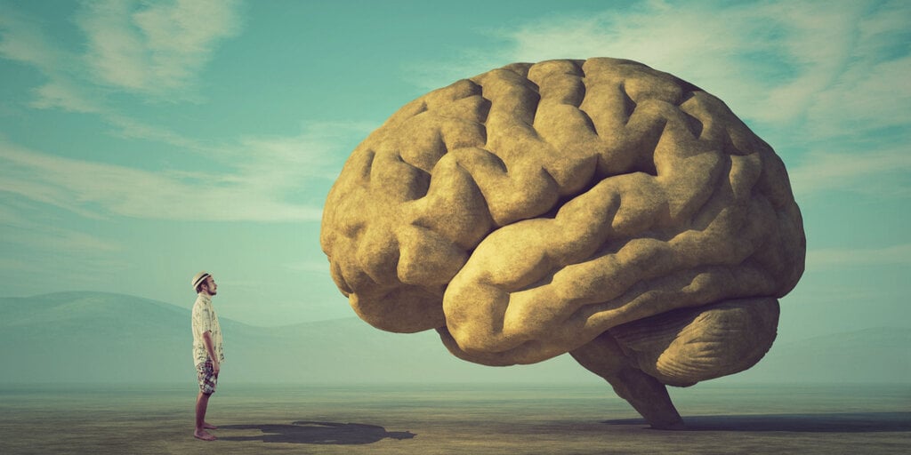 Bigger Brains Lead to Longer Lifespans, Says New Study