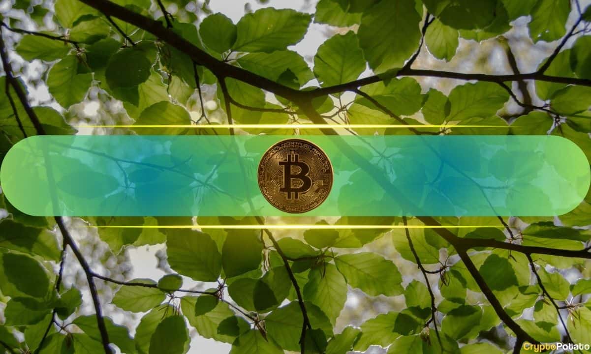 Bitcoin Tests $106K on Middle East Ceasefire Agreement 