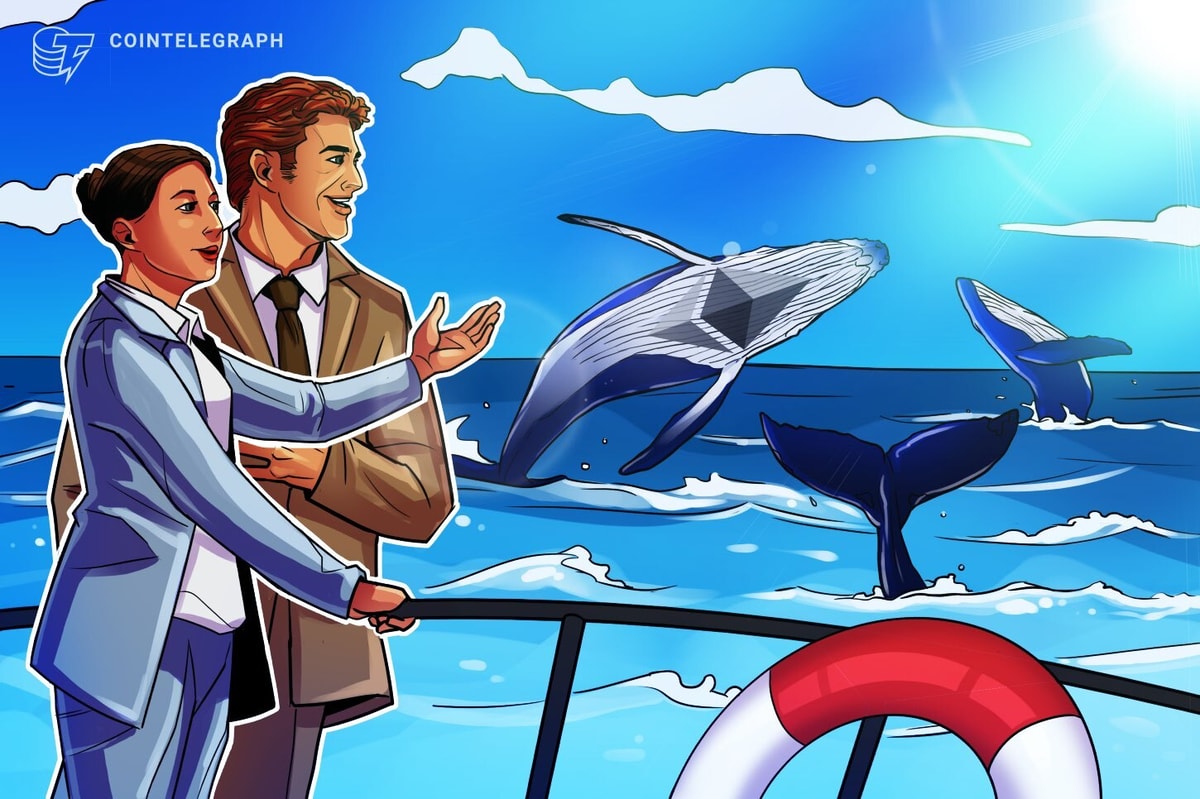 Ethereum whales post strongest net buying since 2018