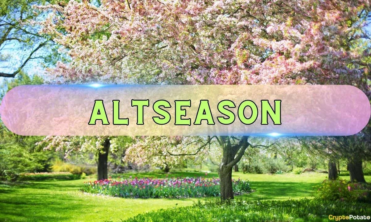 Altseason or Another False Start? Experts Split on Altcoin Market's Next Move