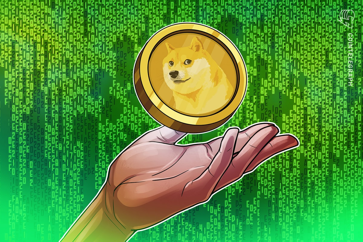 DOGE Price Eyes 160% Rally to $0.65 as RSI Sends Bullish Signal