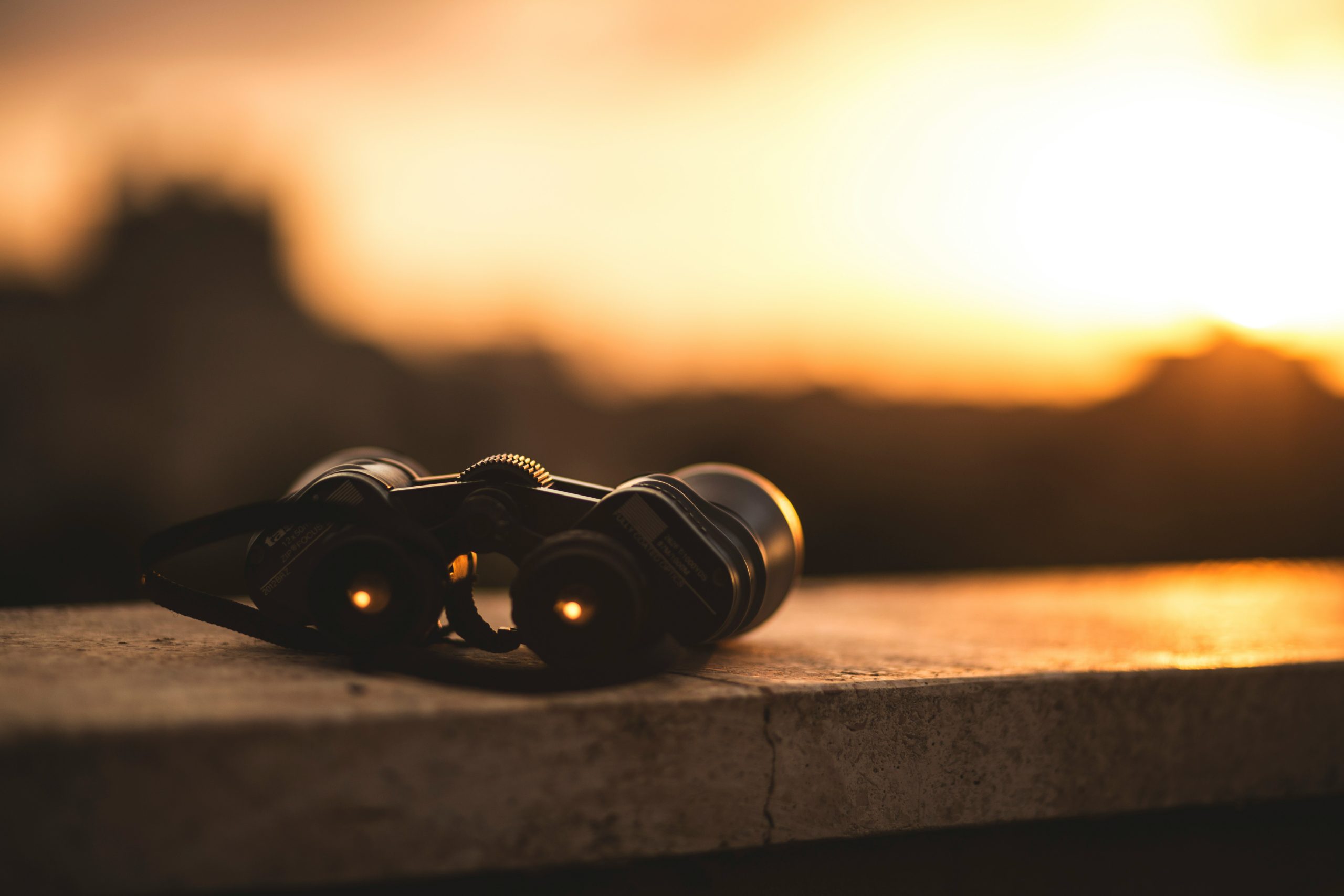 How to choose the best thermal binoculars for long-range detection in 2026