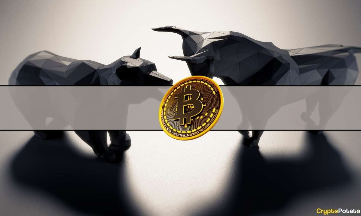 U.S. and Canadian Digital Asset Treasury Firms See Median Stock Prices Plunge 43% in 2025