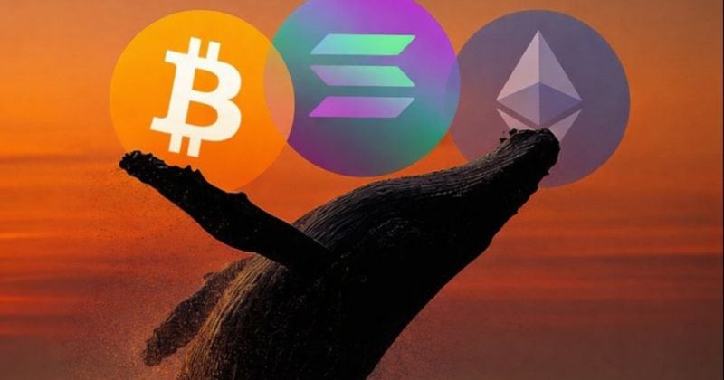 Whale increases leveraged shorts to $169M across BTC, ETH, and SOL