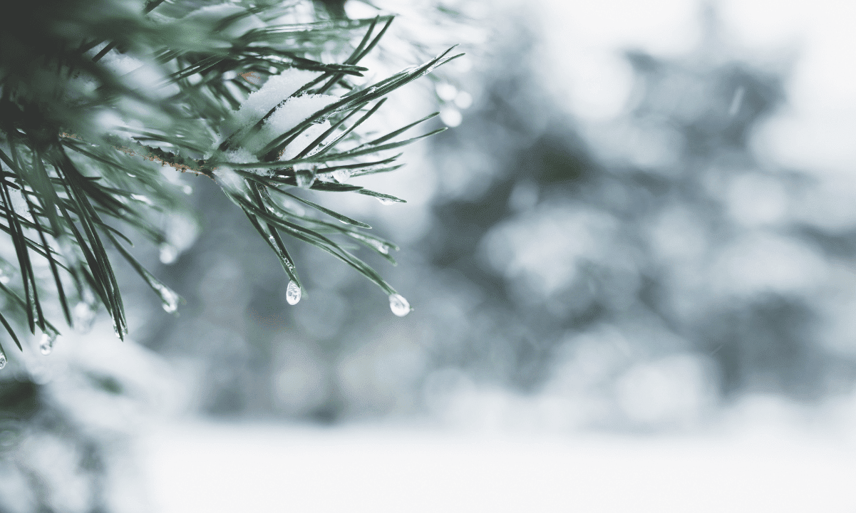 Crypto Trading Activity Hits Yearly Lows as Holiday Lull Freezes Markets