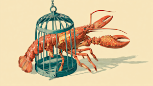 Google clamps down on Antigravity 'malicious usage', cutting off OpenClaw users in sweeping ToS enforcement move