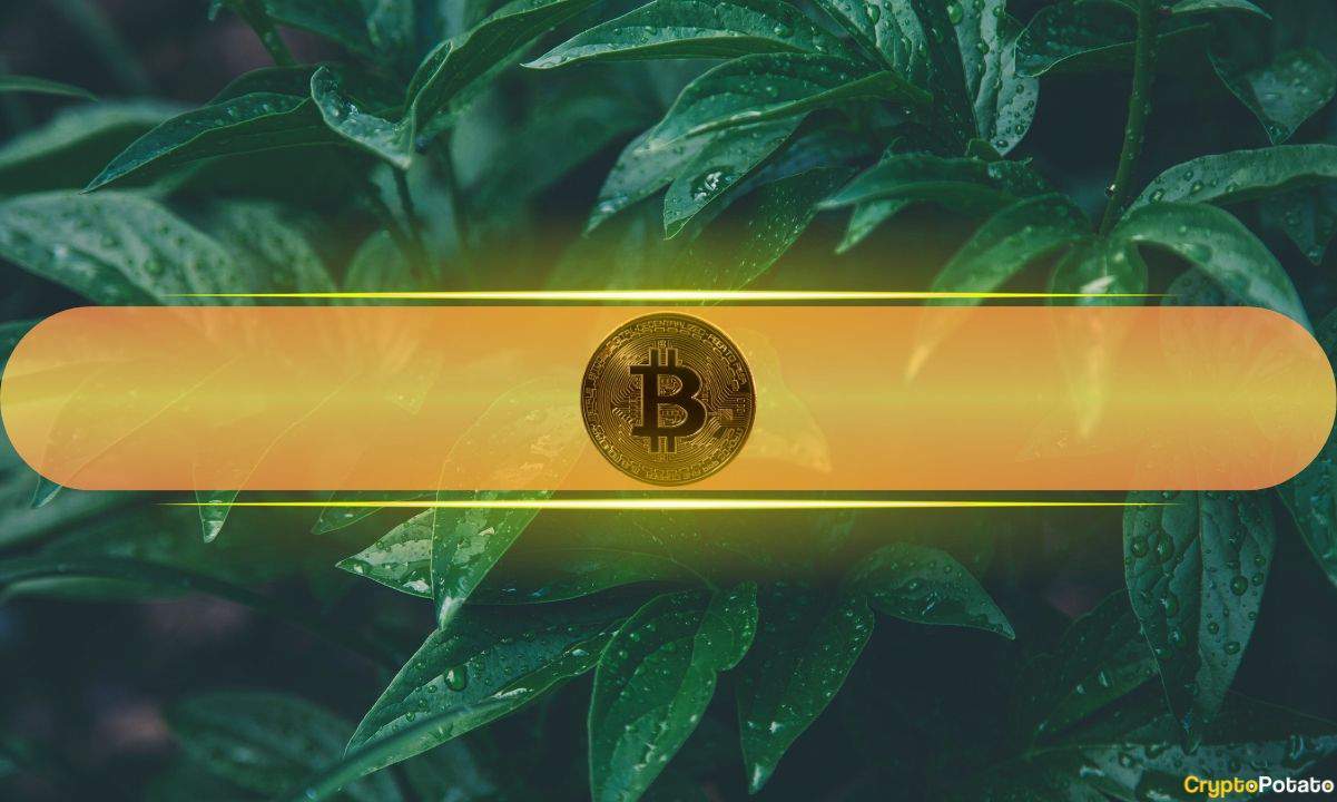 Analysts Eye 'Insane Reversal' in Markets as Bitcoin Touched $70K