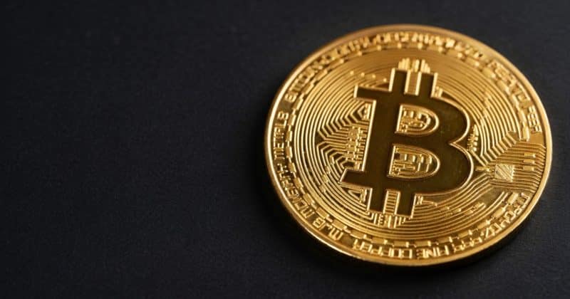 Elon Musk animates Bitcoin waifu after viral fan art request